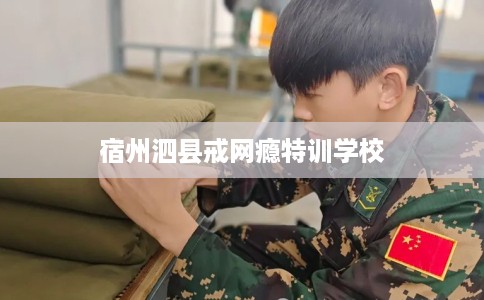 宿州泗县戒网瘾特训学校