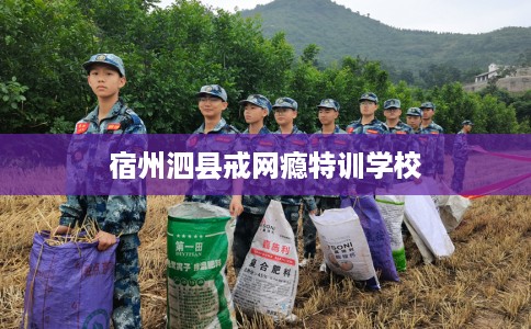 宿州泗县戒网瘾特训学校