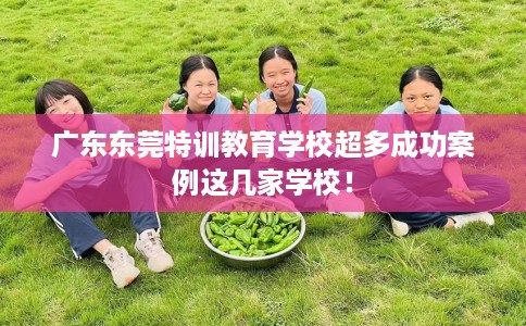 广东东莞特训教育学校超多成功案例这几家学校！