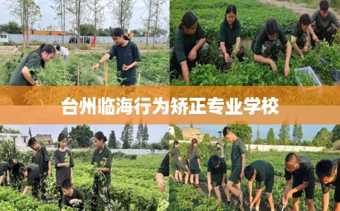 台州临海行为矫正专业学校