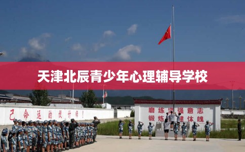天津北辰青少年心理辅导学校