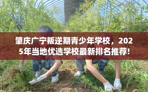 肇庆广宁叛逆期青少年学校，2025年当地优选学校最新排名推荐!