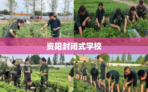 资阳封闭式学校