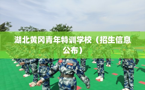 湖北黄冈青年特训学校（招生信息公布）