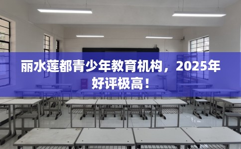 丽水莲都青少年教育机构，2025年好评极高！