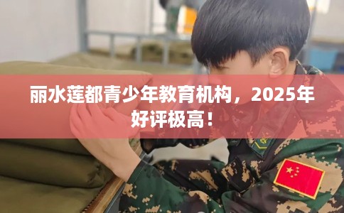 丽水莲都青少年教育机构，2025年好评极高！