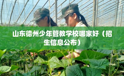 山东德州少年管教学校哪家好（招生信息公布）