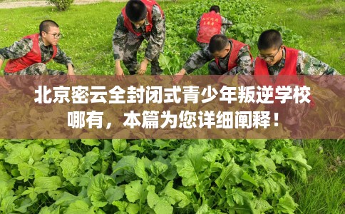 北京密云全封闭式青少年叛逆学校哪有，本篇为您详细阐释！