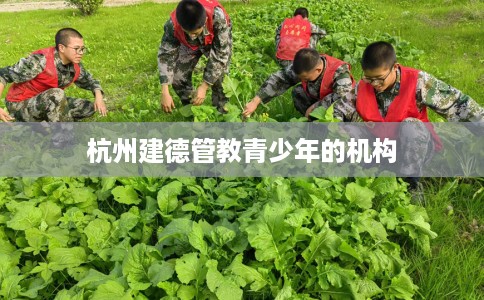 杭州建德管教青少年的机构