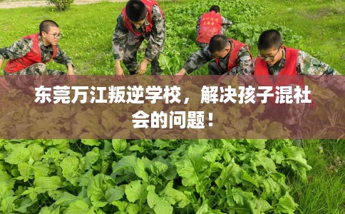 东莞万江叛逆学校，解决孩子混社会的问题！