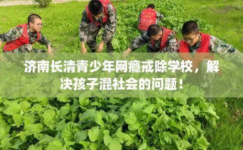济南长清青少年网瘾戒除学校，解决孩子混社会的问题！