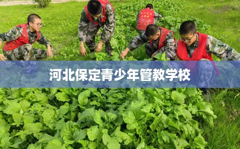 河北保定青少年管教学校