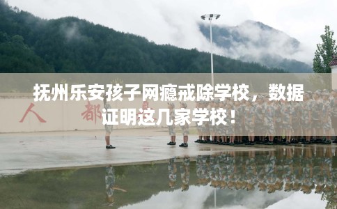 抚州乐安孩子网瘾戒除学校，数据证明这几家学校！