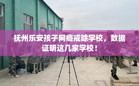 抚州乐安孩子网瘾戒除学校，数据证明这几家学校！