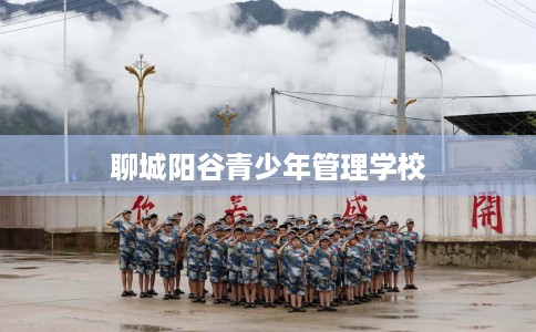 聊城阳谷青少年管理学校