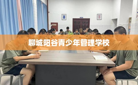 聊城阳谷青少年管理学校