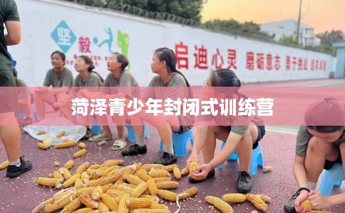 菏泽青少年封闭式训练营