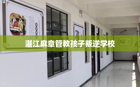 湛江麻章管教孩子叛逆学校