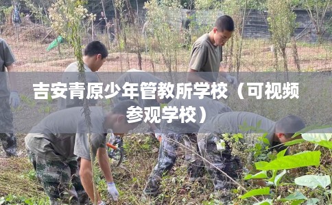 吉安青原少年管教所学校（可视频参观学校）