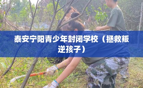 泰安宁阳青少年封闭学校（拯救叛逆孩子）