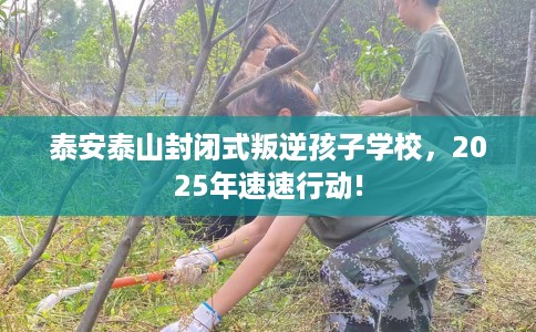 泰安泰山封闭式叛逆孩子学校，2025年速速行动!