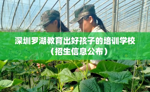 深圳罗湖教育出好孩子的培训学校（招生信息公布）