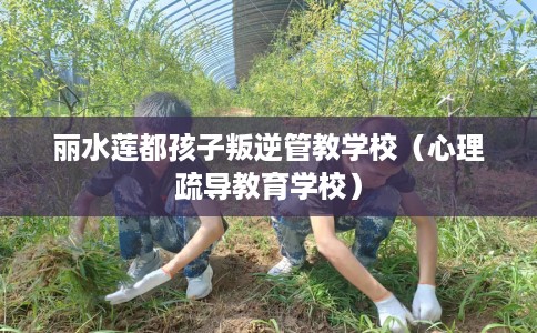 丽水莲都孩子叛逆管教学校（心理疏导教育学校）