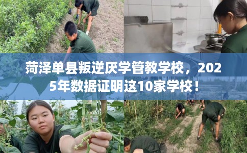 菏泽单县叛逆厌学管教学校，2025年数据证明这10家学校！