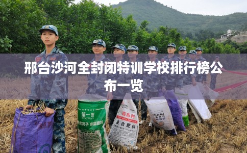 邢台沙河全封闭特训学校排行榜公布一览