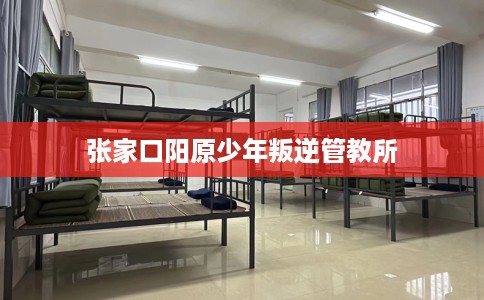 张家口阳原少年叛逆管教所