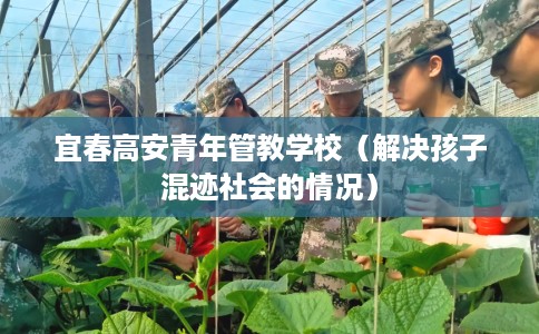 宜春高安青年管教学校（解决孩子混迹社会的情况）