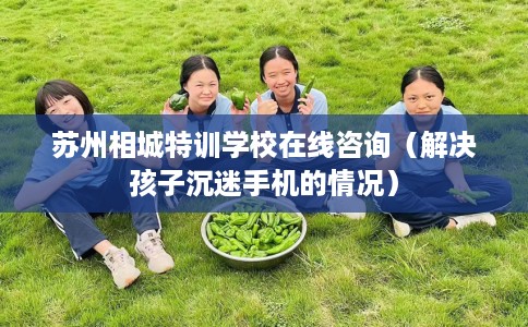 苏州相城特训学校在线咨询（解决孩子沉迷手机的情况）