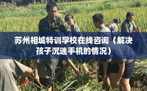 苏州相城特训学校在线咨询（解决孩子沉迷手机的情况）