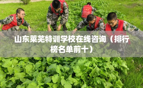 山东莱芜特训学校在线咨询（排行榜名单前十）
