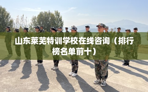 山东莱芜特训学校在线咨询（排行榜名单前十）