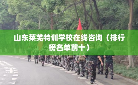 山东莱芜特训学校在线咨询（排行榜名单前十）