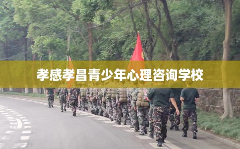 孝感孝昌青少年心理咨询学校