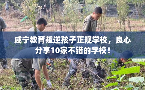咸宁教育叛逆孩子正规学校，良心分享10家不错的学校！
