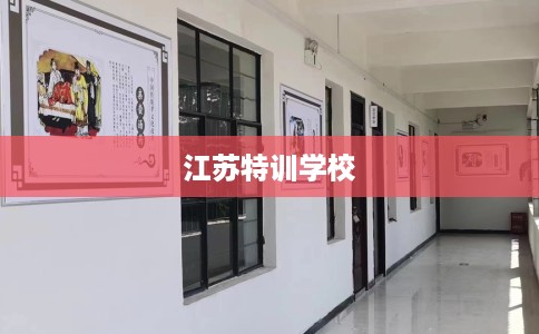 江苏特训学校