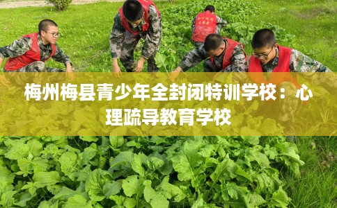 梅州梅县青少年全封闭特训学校:心理疏导教育学校 梅州梅县青少年全封闭特训学校:心理疏导教育学校