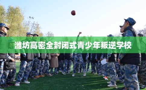 潍坊高密全封闭式青少年叛逆学校