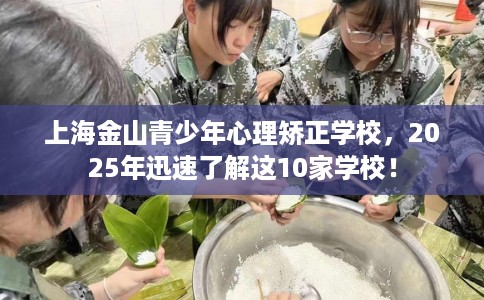 上海金山青少年心理矫正学校，2025年迅速了解这10家学校！