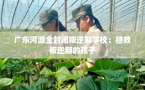广东河源全封闭叛逆期学校：拯救叛逆期的孩子