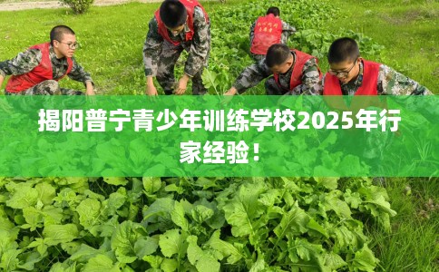 揭阳普宁青少年训练学校2025年行家经验！