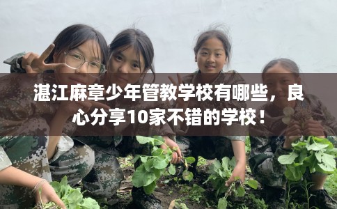 湛江麻章少年管教学校有哪些，良心分享10家不错的学校！