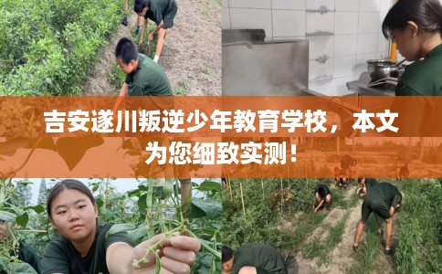 吉安遂川叛逆少年教育学校，本文为您细致实测！