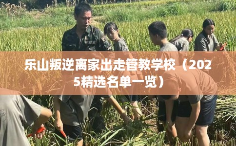 乐山叛逆离家出走管教学校（2025精选名单一览）