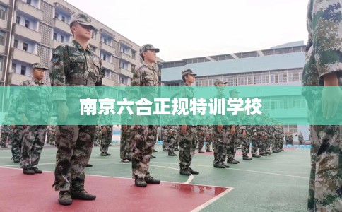 南京六合正规特训学校