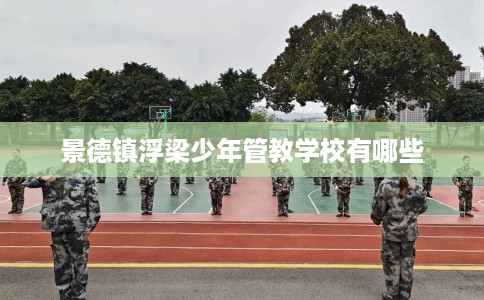 景德镇浮梁少年管教学校有哪些