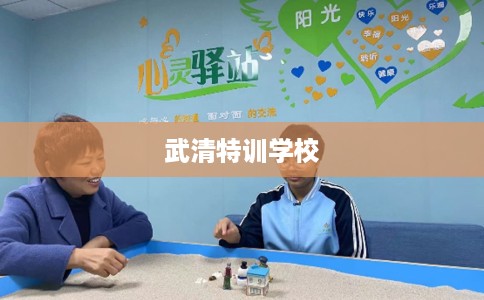 武清特训学校